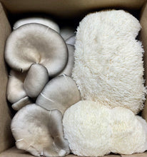 Load image into Gallery viewer, Mixed Gourmet Mushroom Box 1lb(Locals Only)