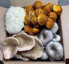 Load image into Gallery viewer, Mixed Gourmet Mushroom Box 1lb(Locals Only)
