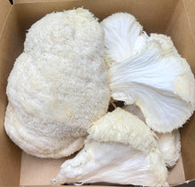 Load image into Gallery viewer, 1lbs Fresh Lions mane