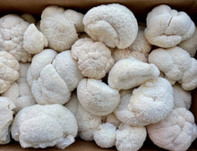 Load image into Gallery viewer, 1lbs Fresh Lions mane